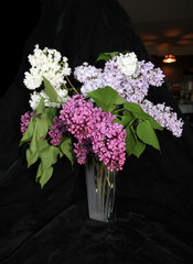 Bouquet of  lilac in glass vase