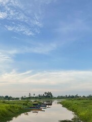  Morning view at the river