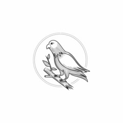 Lovebird or dove logo design inspiration