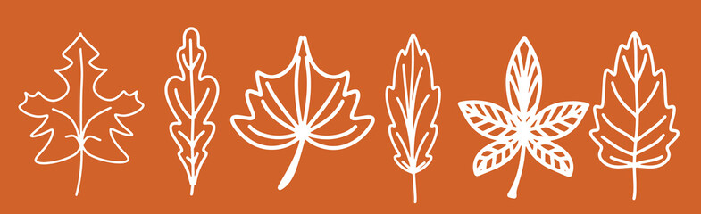 A collection of fallen autumn leaves of different shapes. Autumn background, a poster with different leaves. Seasonal autumn elements for creating postcards, invitations, posters. Cartoon flat style