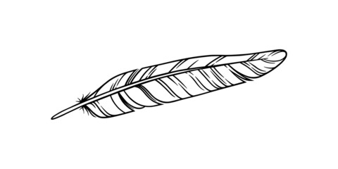 Bird feather for a quill. Sketch feather illustration for a tattoo design. Vector illustration isolated in white background