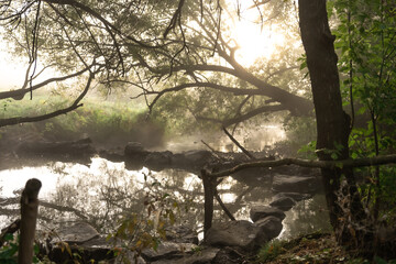 River with rapids in the fog in the forest in the morning at dawn.