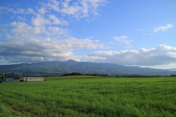 Fototapeta premium 北海道 ニセコの草原と昆布岳