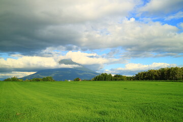 北海道　ニセコの草原と羊蹄山