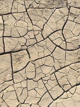 Dry Cracked Riverbed