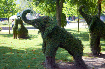 Vinnitsa, Ukraine - September 11, 2021 Garden arrangement with dwarfs, lush greenery in Vinnitsa park