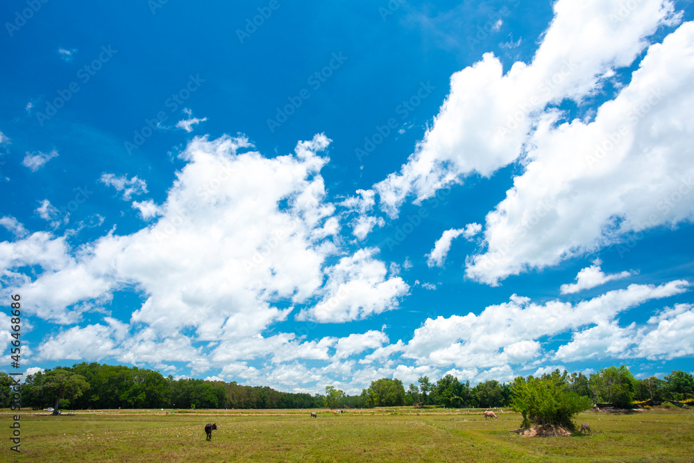 Wall mural landscape with clouds