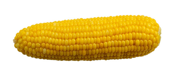 corn isolated on white