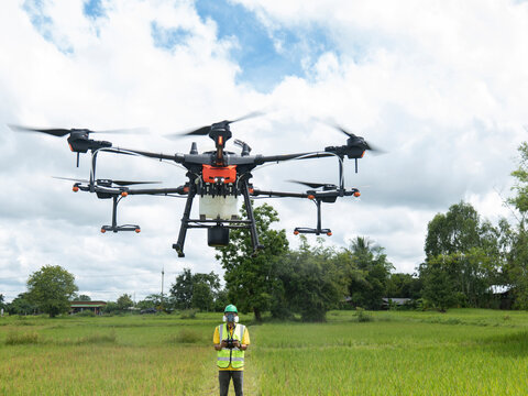 Farmer technicians control agriculture drone fly to sprayed fertilizer on the green rice field smart farm. Agricultural technology concept.