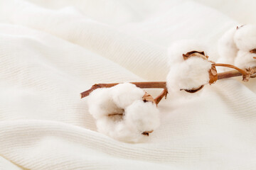 close up of cotton branch on white cotton fabric. - obrazy, fototapety, plakaty