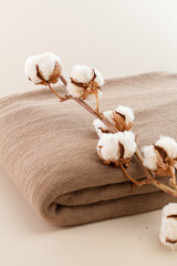 Obraz na płótnie Canvas cotton branch with folded sheets. organic fabric, eco.