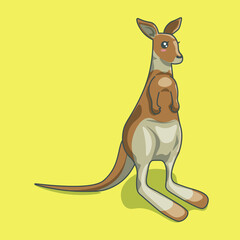 Kangaroo vector illustration, cute marsupial.