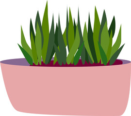 A homemade plant in a pink pot. An ornamental houseplant. The illustration is isolated on a white background. Vector flat illustration of potted plants.