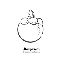 Hand drawn sketch, Illustration Mangosteen on white background, outline monochrome ink style for artwork, logo, packaging vector.