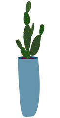 Homemade cactus in a tall blue pot. An ornamental houseplant. The illustration is isolated on a white background. Vector flat illustration of potted plants.