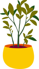 A houseplant in a bright yellow pot. Vector illustrations of indoor plants in the collection of flower pots. Isolated on a white background.