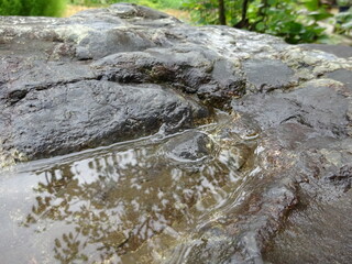岩にできた水たまり