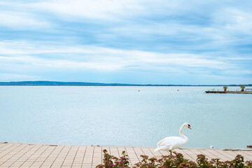 KESZTHELY, HUNGARY - JULY 3, 2020: Sidewalk to the pier of Keszthely, Hungary