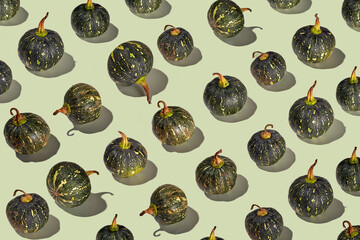 Autumn Pumpkin pattern for halloween and thanksgiving day decor. Pumpkins on light green background