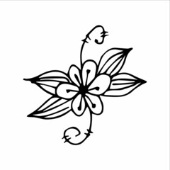 A single element is a flower drawn by hand. Vector black and white doodle illustration for logo, design and postcards.