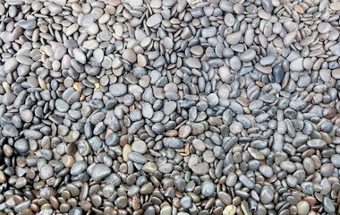 Background of decorative light-grey small polished rocks