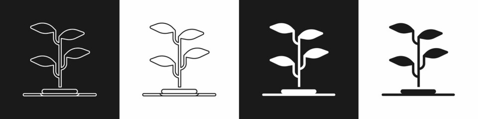 Set Sprout icon isolated on black and white background. Seed and seedling. Leaves sign. Leaf nature. Vector