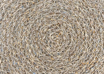 Wicker seaweed texture. Round braided background.