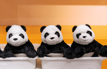 Three panda teddy bears on an orange background. © Valemaxxx