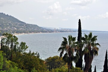 a flock of sheep in the mountains