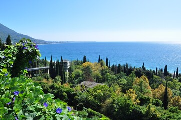 view of the sea from the mountain