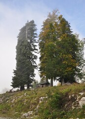 autumn in the mountains