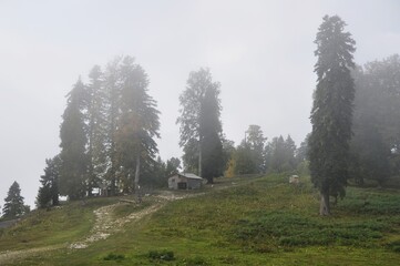 misty morning in the mountains