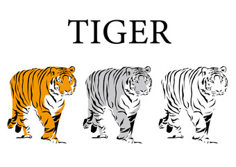 虎のイラスト