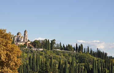 field in the morning