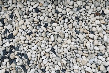 Smooth round pebbles texture background. Pebble sea beach close-up, dark wet pebble and gray dry pebble. 
