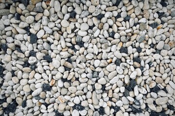 Smooth round pebbles texture background. Pebble sea beach close-up, dark wet pebble and gray dry pebble. 