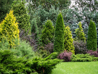 trees in the garden