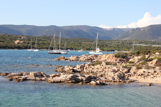 Corse Figari Bruzzi 4