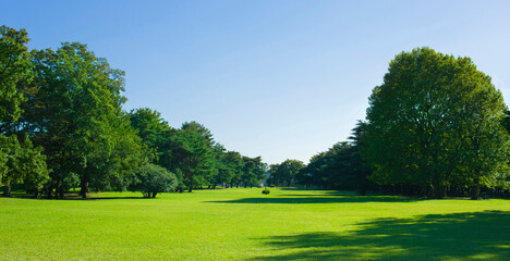 sunny garden