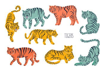 Fototapeta na wymiar Set with tigers in different poses. Hand drawn vector illustration