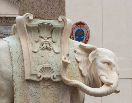 White Marble Elephant Statue Detail at Piazza della Minerva in Rome, Italy