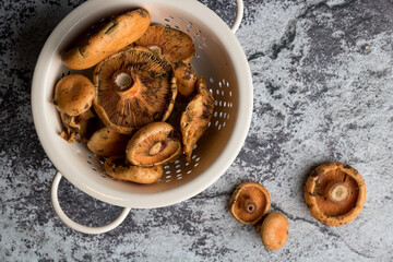 Vintage strainer bowl with a bunch of chanterelle mushrooms from the forest, on a grungy dark concrete background