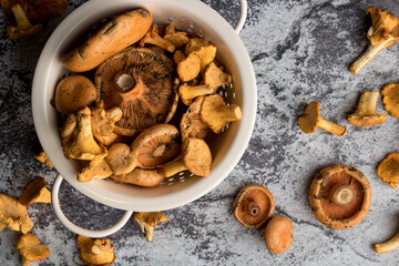 Vintage strainer bowl with a bunch of chanterelle mushrooms from the forest, on a grungy dark concrete background