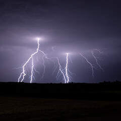 Multiple lightning strikes painting the sky purple on a summer evening during a thunderstorm