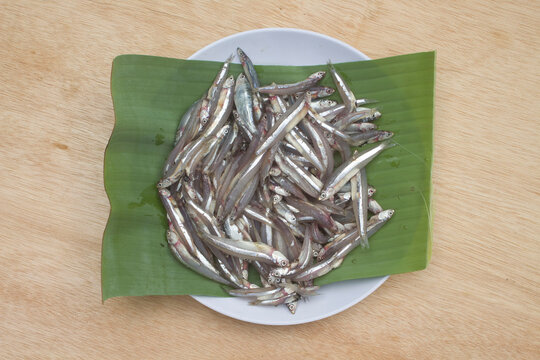 raw anchovy on plate with leaves