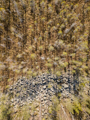 Aerial view of dwarf-shrub pine bog by field of rocks