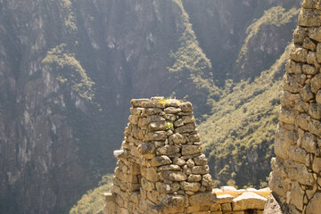 PERU - MACCHU PICCHU
