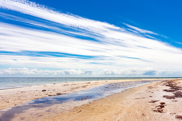 Wild beautiful beach on the Dzharylgach island in the Black Sea