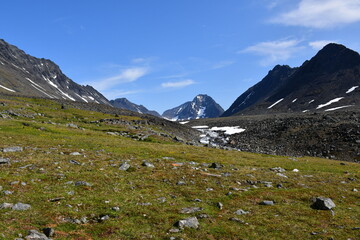 Fototapeta premium alpine meadow in the mountains