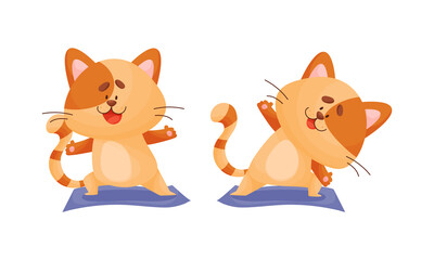 Ginger Cat with Striped Tail Doing Yoga Standing in Asana Vector Set